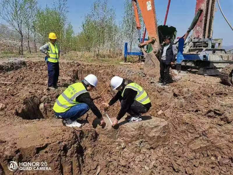 水利项目水泥水泥桩试桩完整性检测